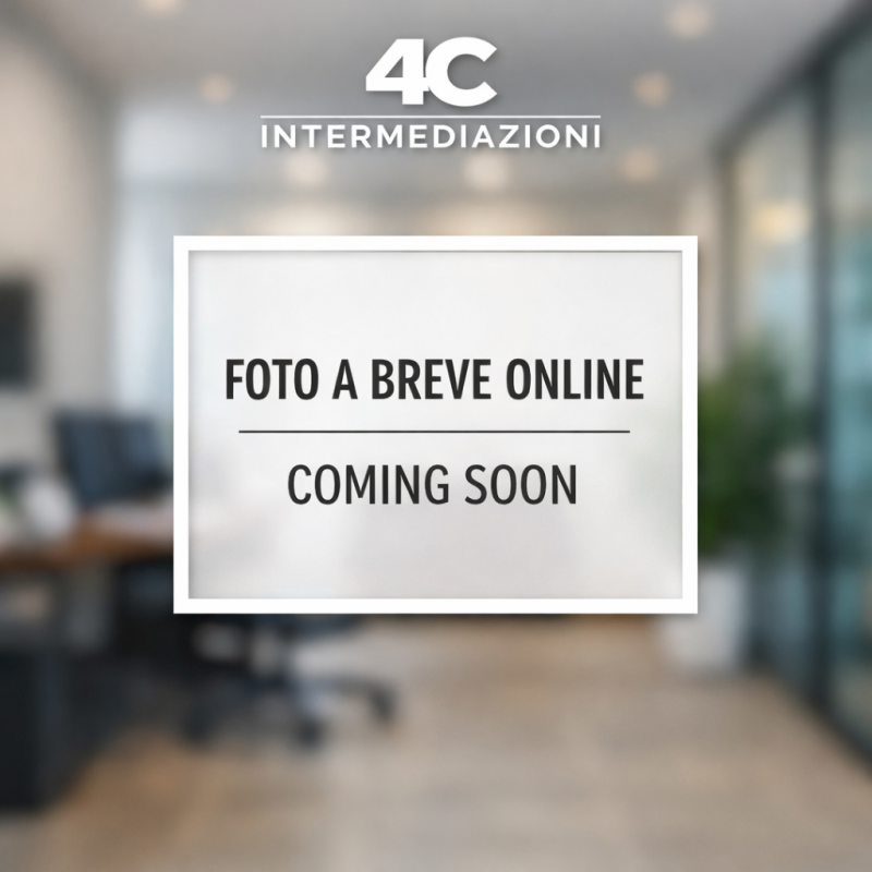 Foto annuncio 12