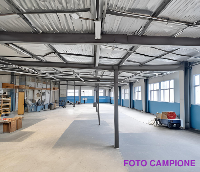 Foto annuncio 2