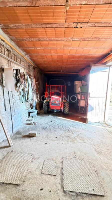 Foto annuncio 26