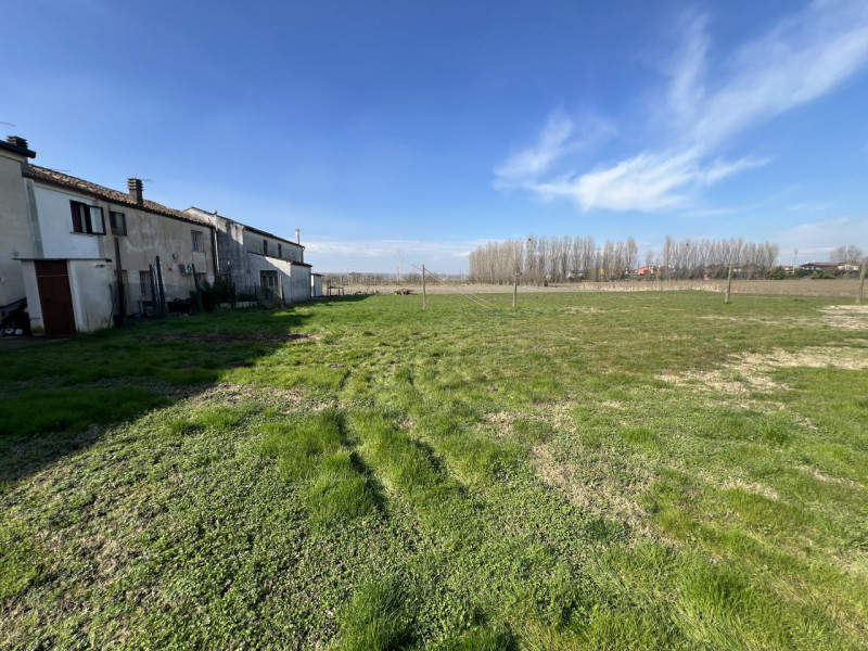 Foto annuncio 19