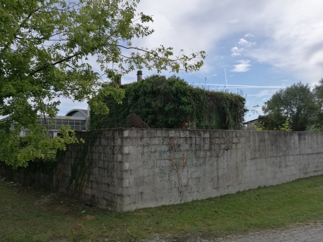 Foto annuncio 2