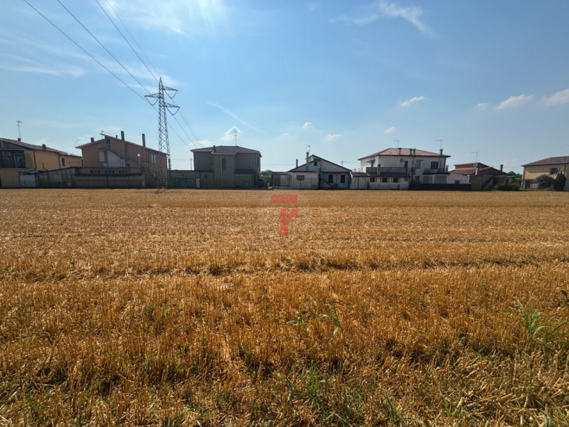Foto annuncio 11