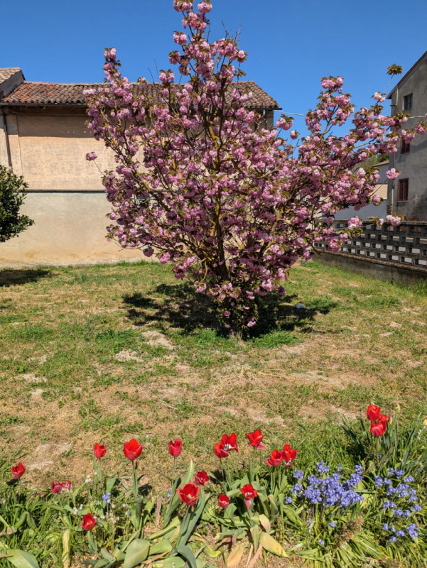 Foto annuncio 38