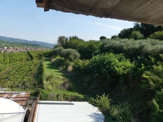 Foto annuncio 71