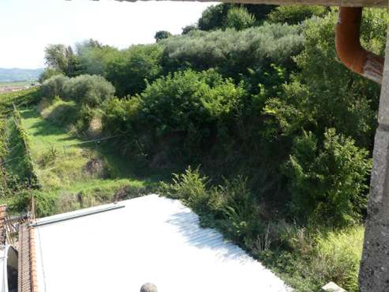 Foto annuncio 72
