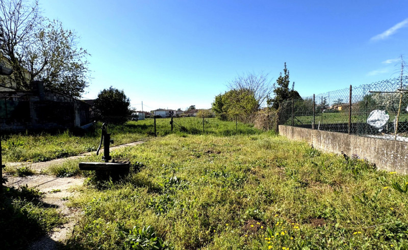 Foto annuncio 5