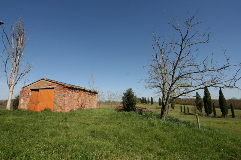 Foto annuncio 4