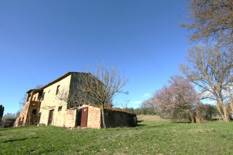 Foto annuncio 5