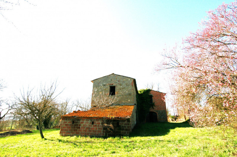 Foto annuncio 6