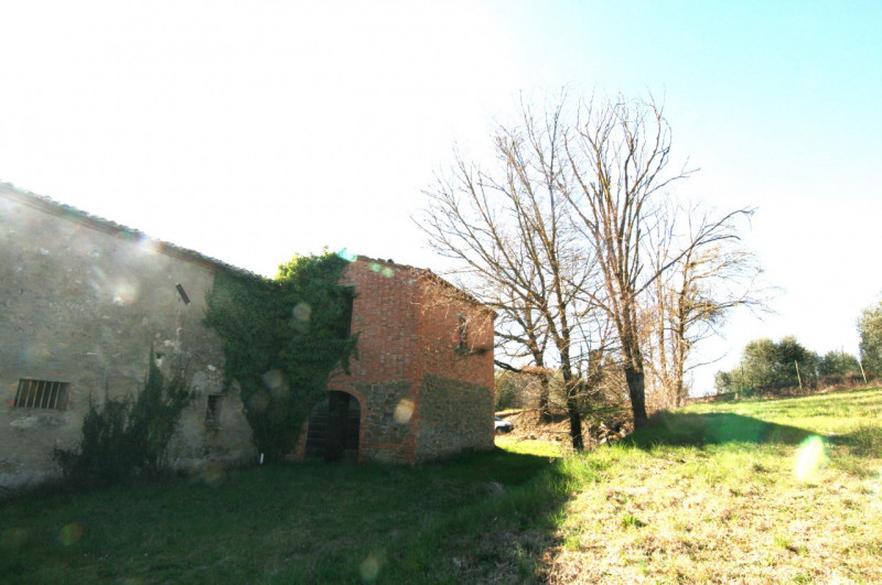 Foto annuncio 8
