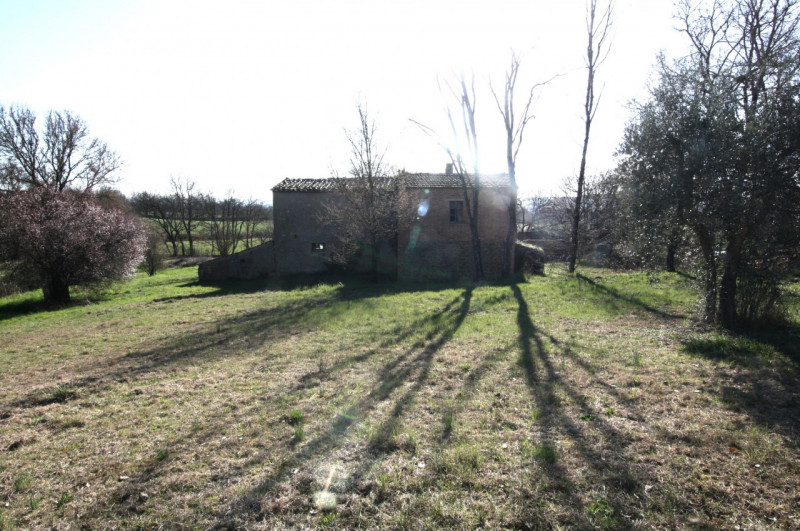 Foto annuncio 31