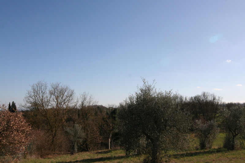 Foto annuncio 34