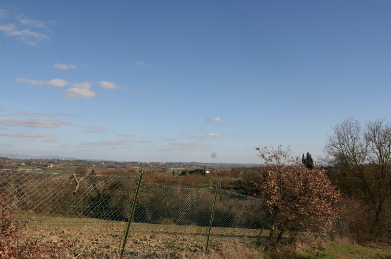 Foto annuncio 37