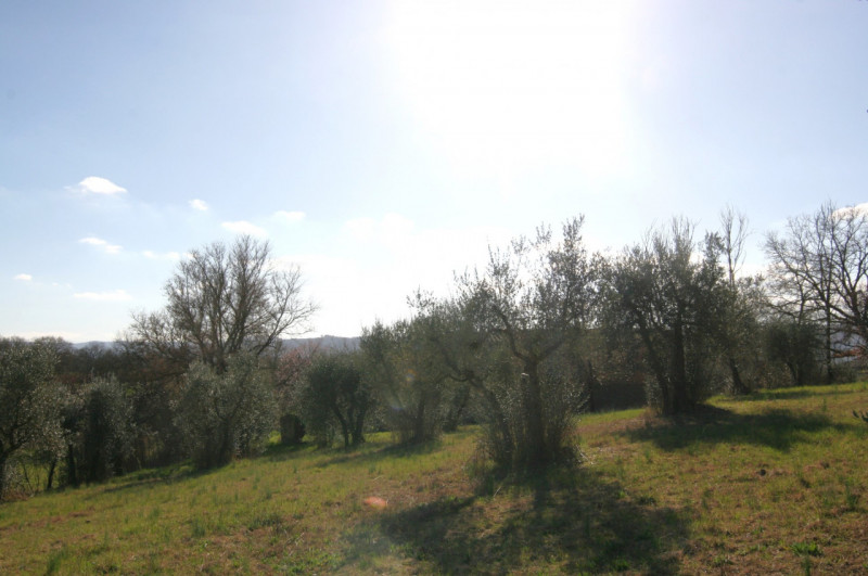 Foto annuncio 38