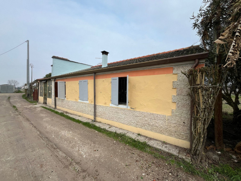 Foto annuncio 2