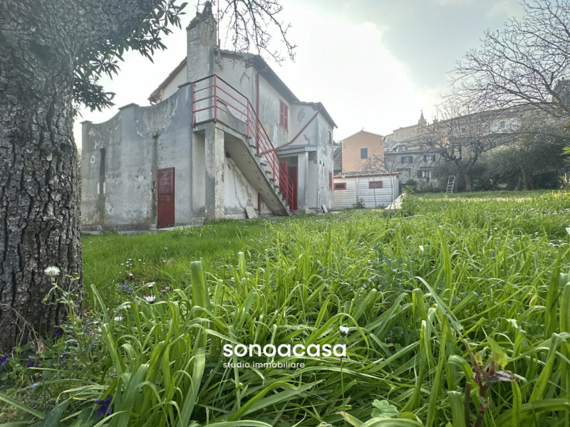 Foto annuncio 24