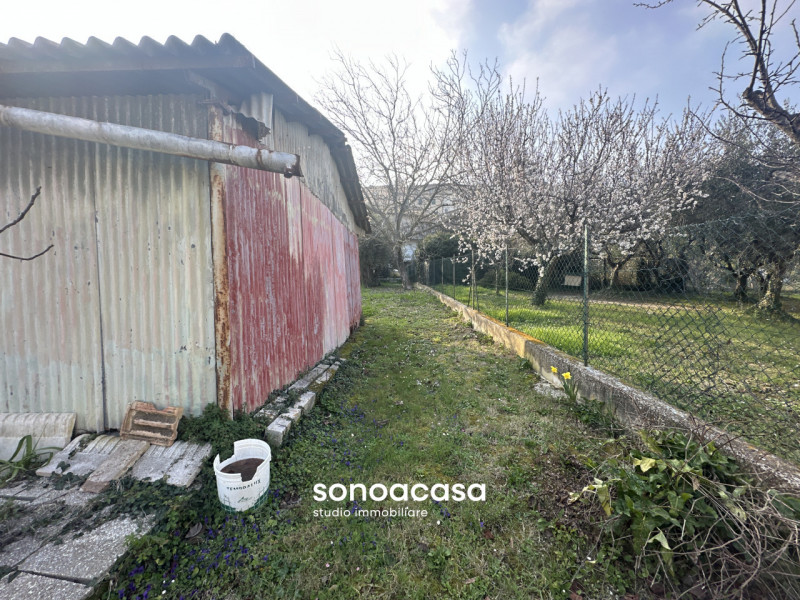 Foto annuncio 27