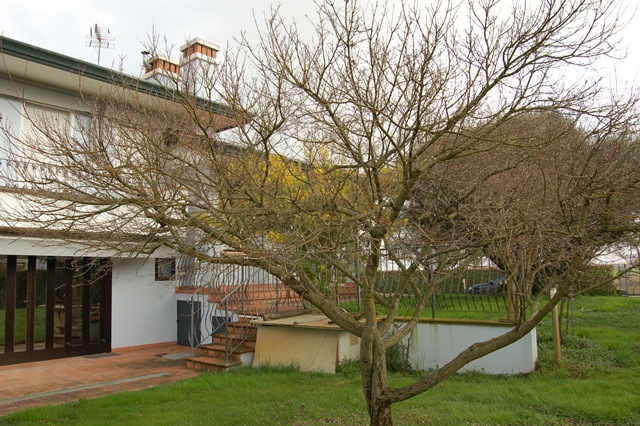 Foto annuncio 7
