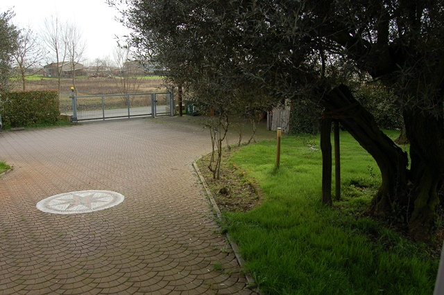 Foto annuncio 10