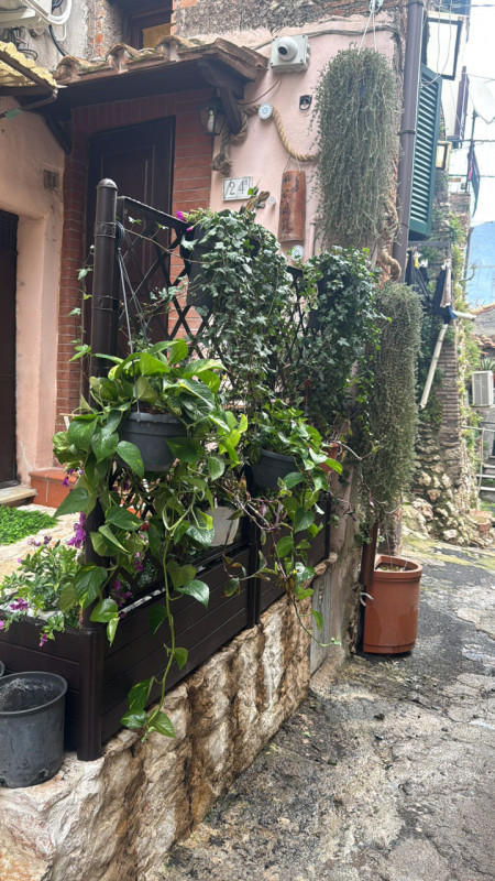 Foto annuncio 2