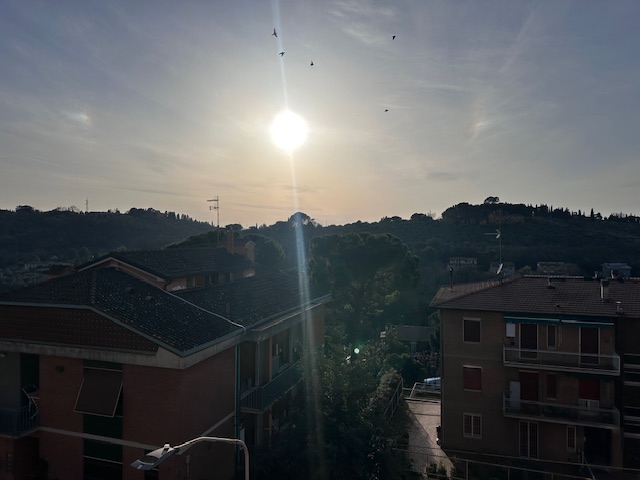 Foto annuncio 37