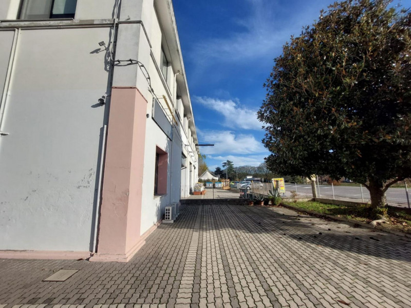 Foto annuncio 3
