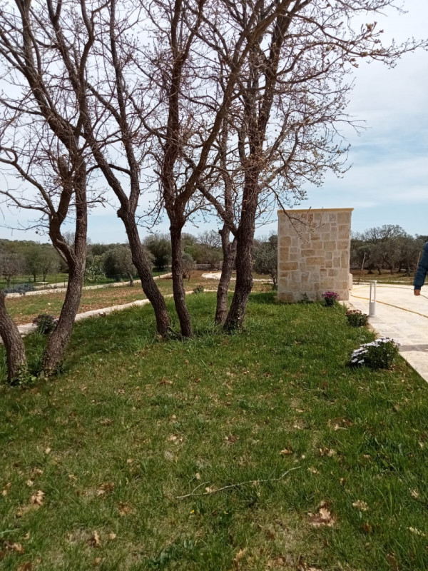 Foto annuncio 48