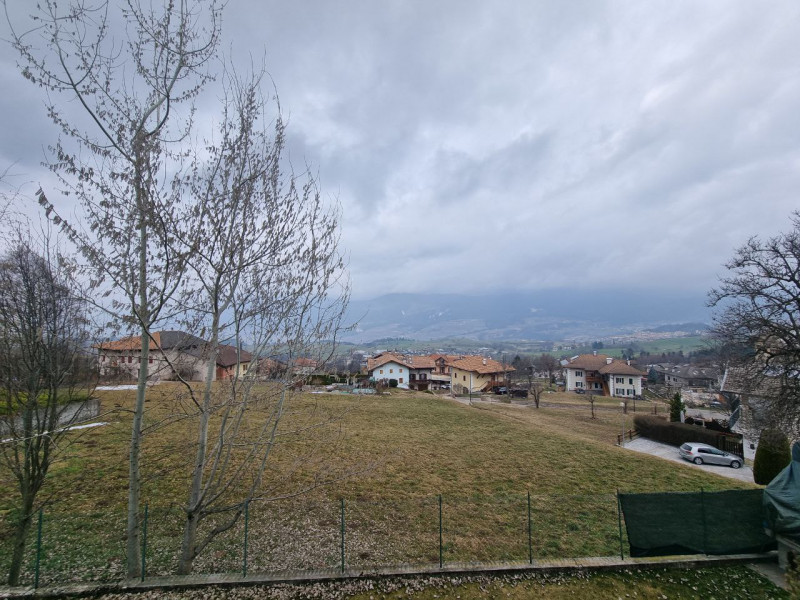 Foto annuncio 24