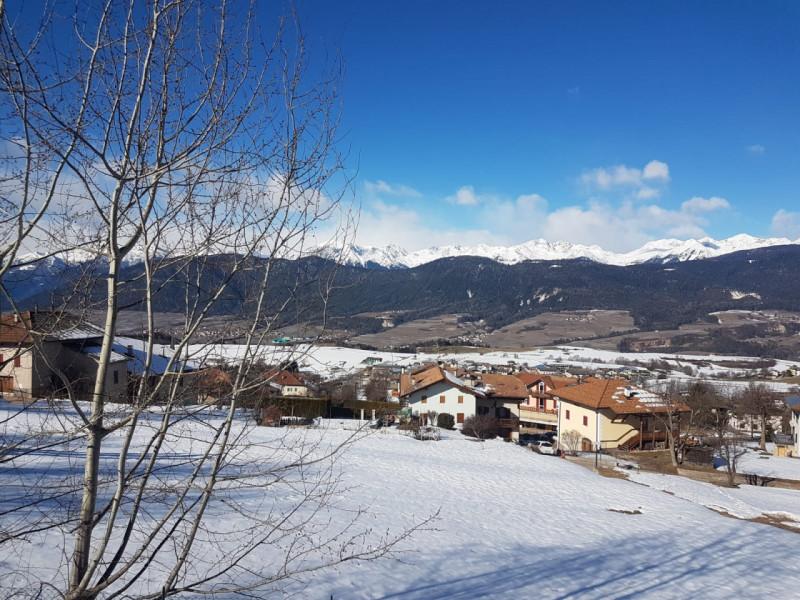 Foto annuncio 44