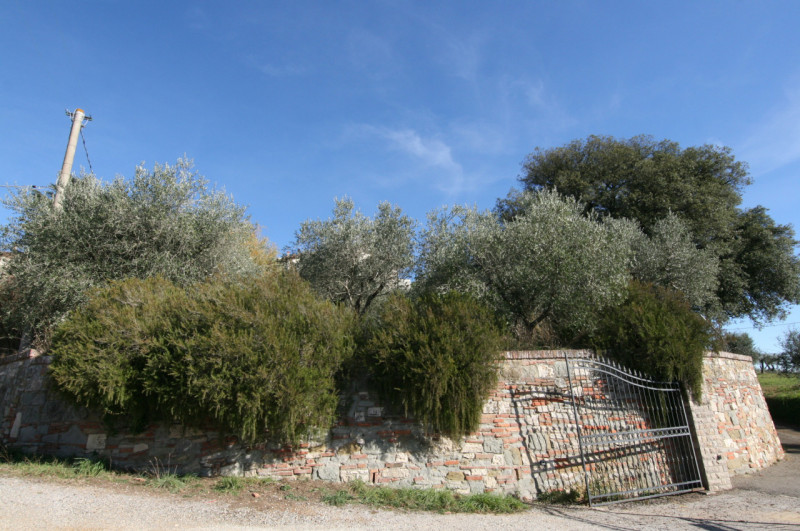 Foto annuncio 4