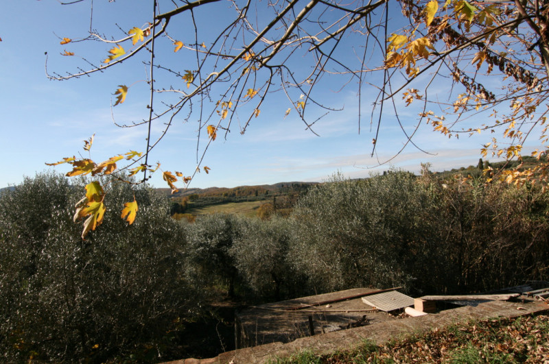 Foto annuncio 8