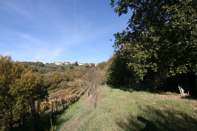 Foto annuncio 18