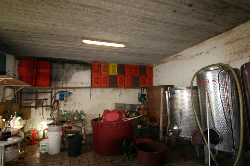 Foto annuncio 22
