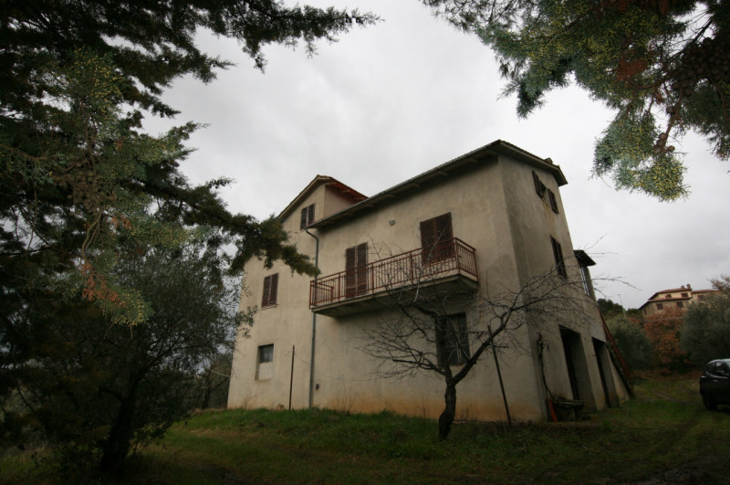 Foto annuncio 2