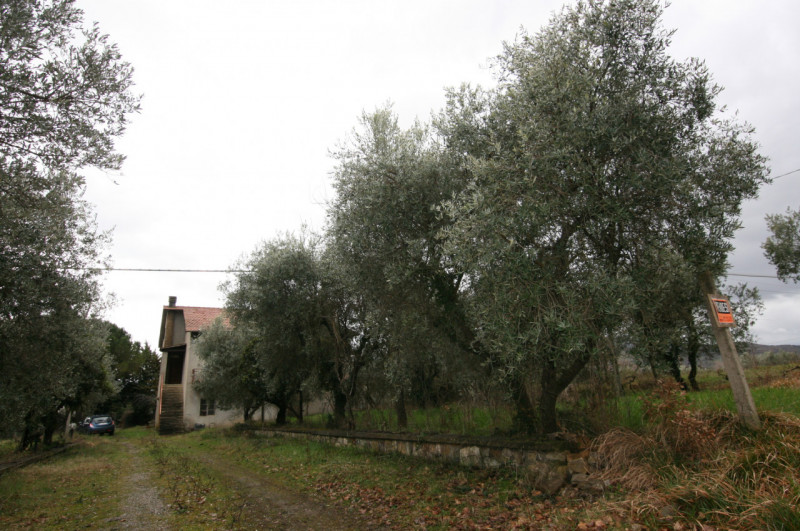 Foto annuncio 9