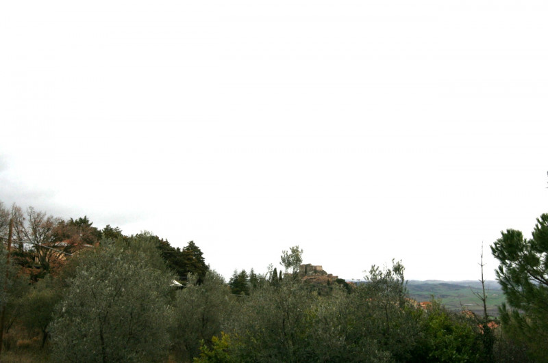 Foto annuncio 16