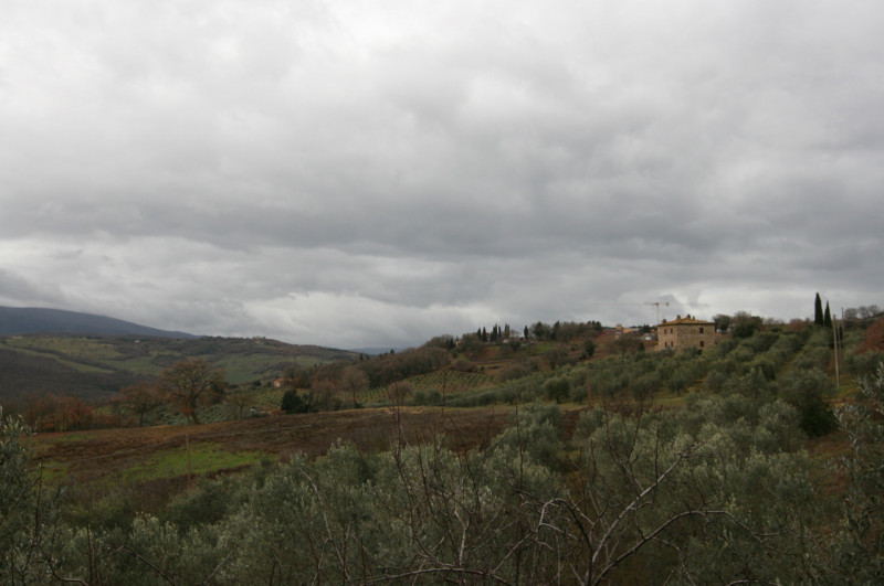 Foto annuncio 29