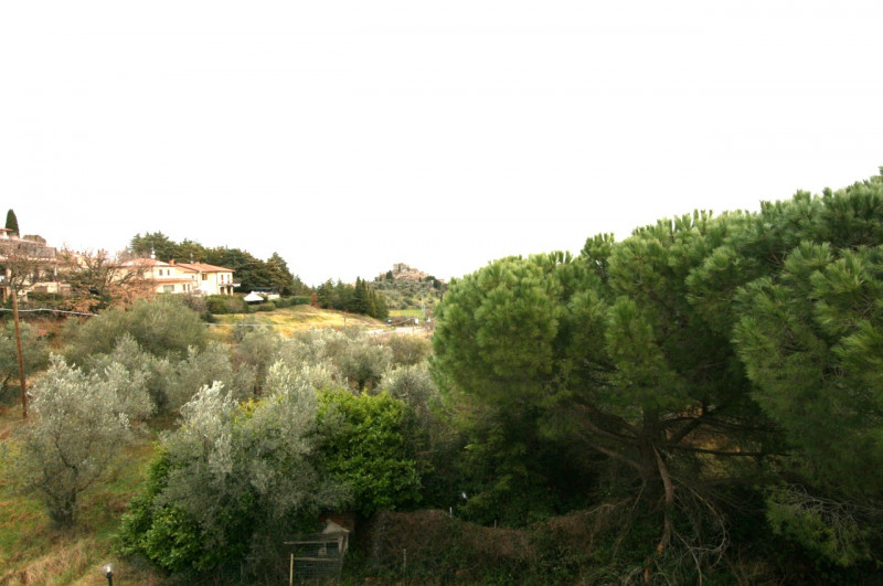 Foto annuncio 47