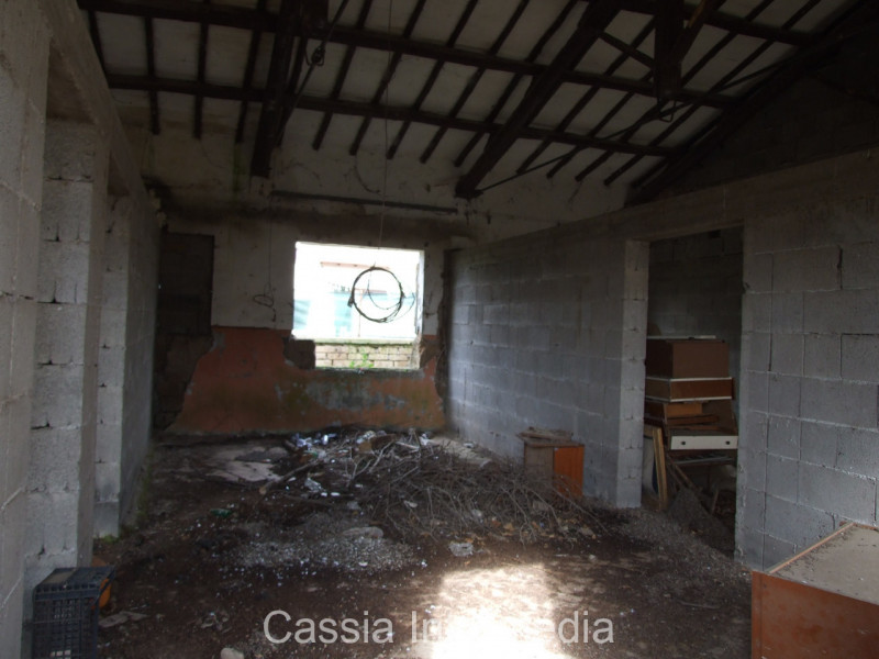 Foto annuncio 6