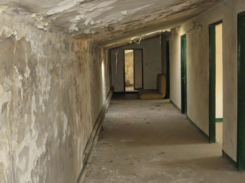 Foto annuncio 43