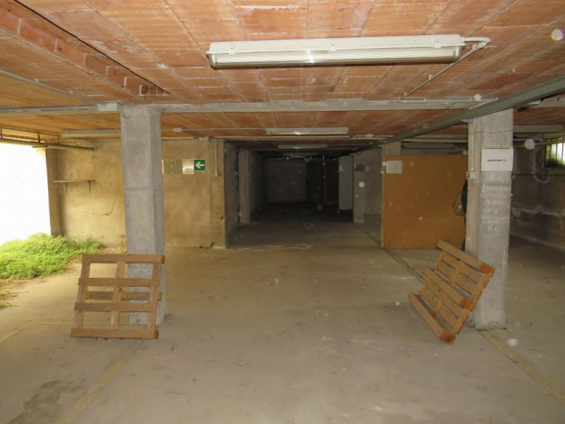Foto annuncio 16