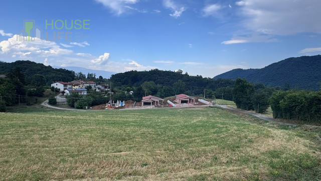 Foto annuncio 7