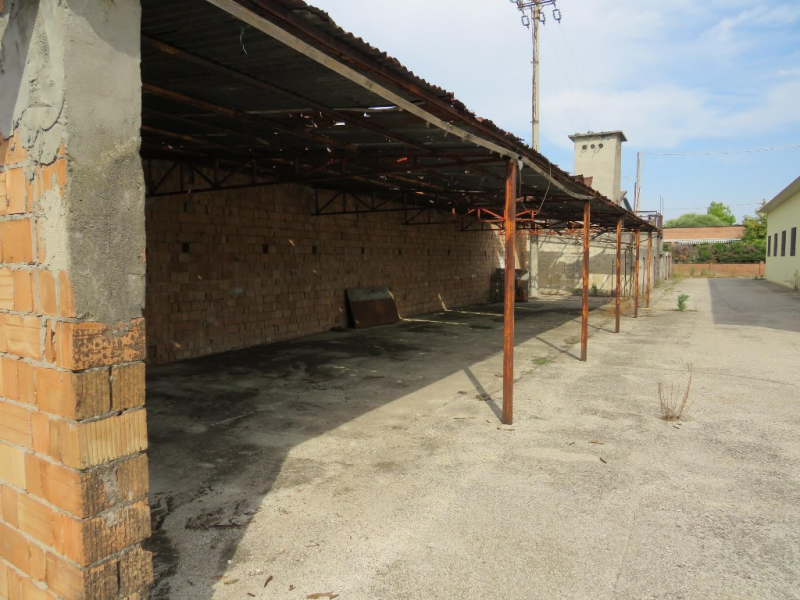 Foto annuncio 21