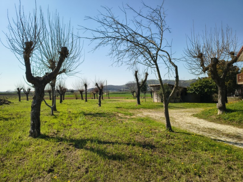 Foto annuncio 6