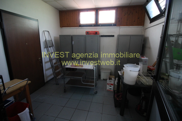 Foto annuncio 35