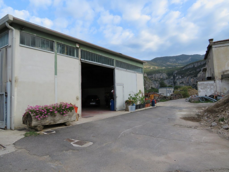 Foto annuncio 5