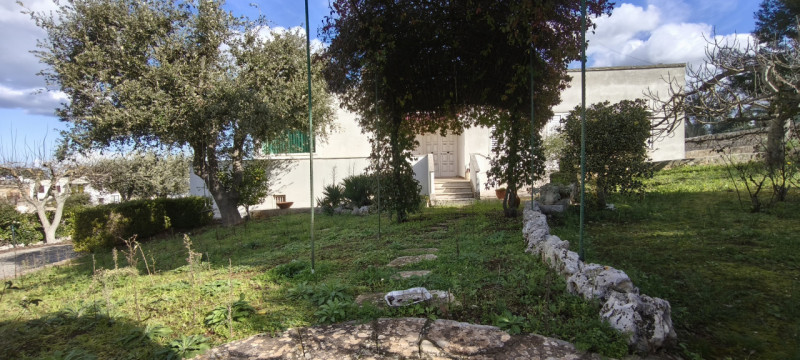 Foto annuncio 9