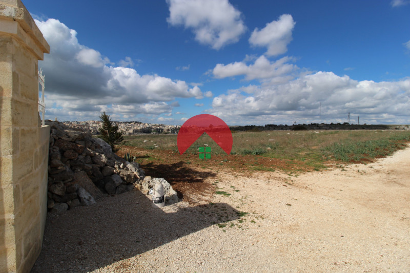 Foto annuncio 10