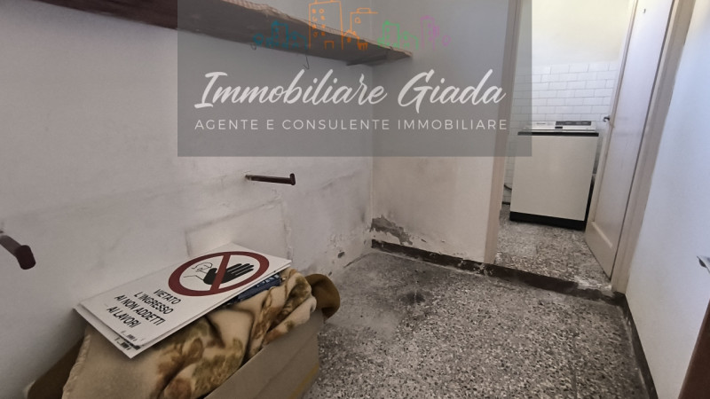 Foto annuncio 7