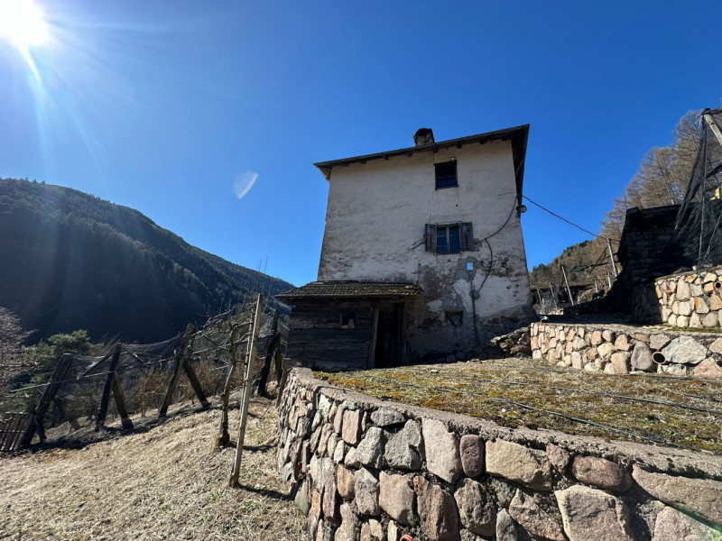Foto annuncio 1